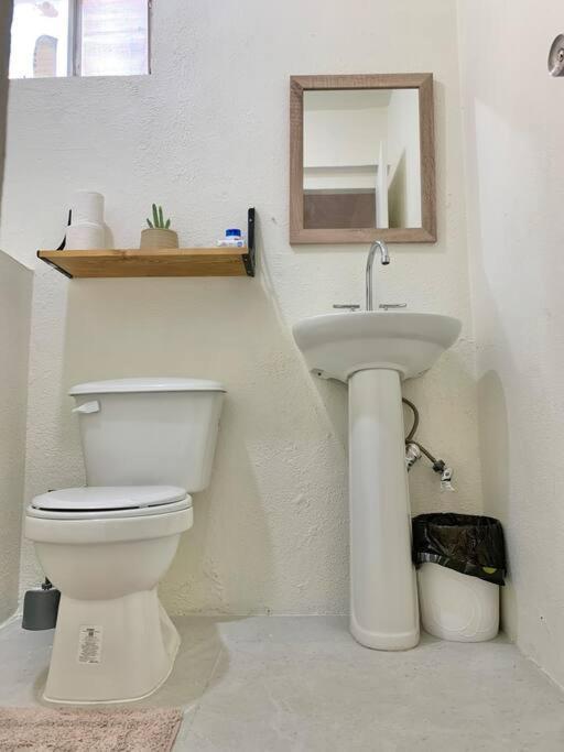Casa Anuiti Centrica Ubicacion. Daire San José del Cabo Dış mekan fotoğraf