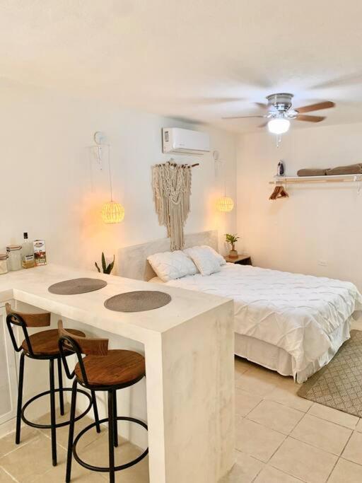 Casa Anuiti Centrica Ubicacion. Daire San José del Cabo Dış mekan fotoğraf