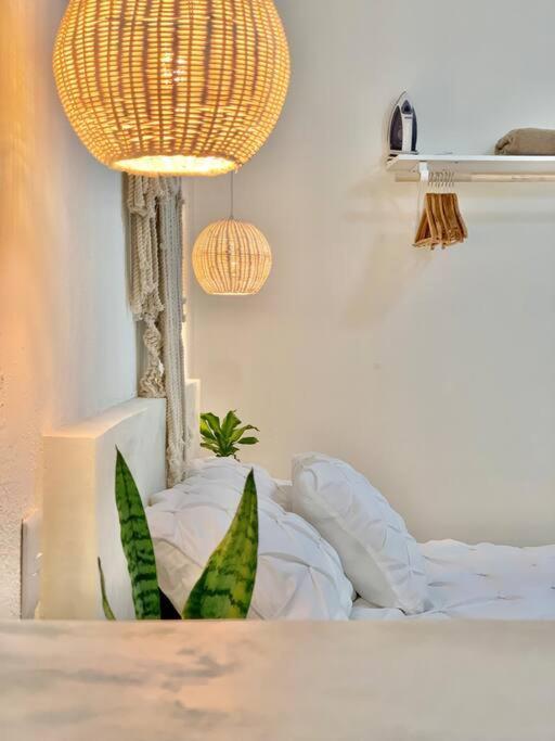 Casa Anuiti Centrica Ubicacion. Daire San José del Cabo Dış mekan fotoğraf
