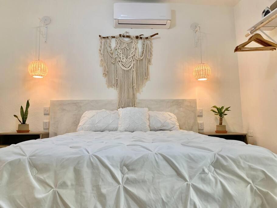 Casa Anuiti Centrica Ubicacion. Daire San José del Cabo Dış mekan fotoğraf
