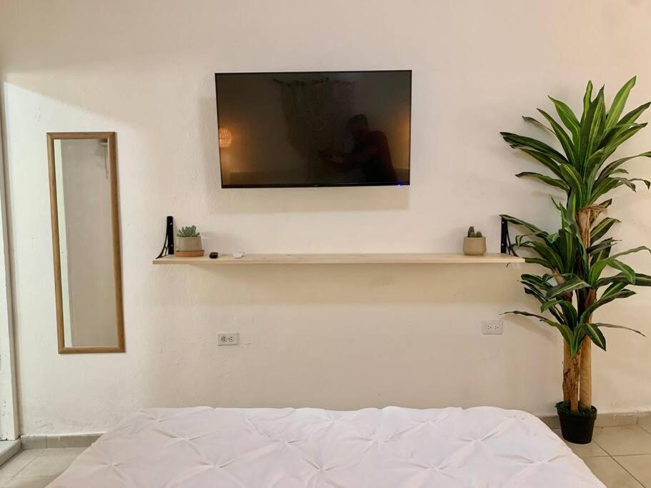 Casa Anuiti Centrica Ubicacion. Daire San José del Cabo Dış mekan fotoğraf